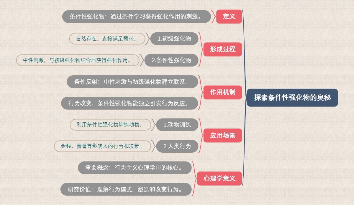 探索条件性强化物的奥秘