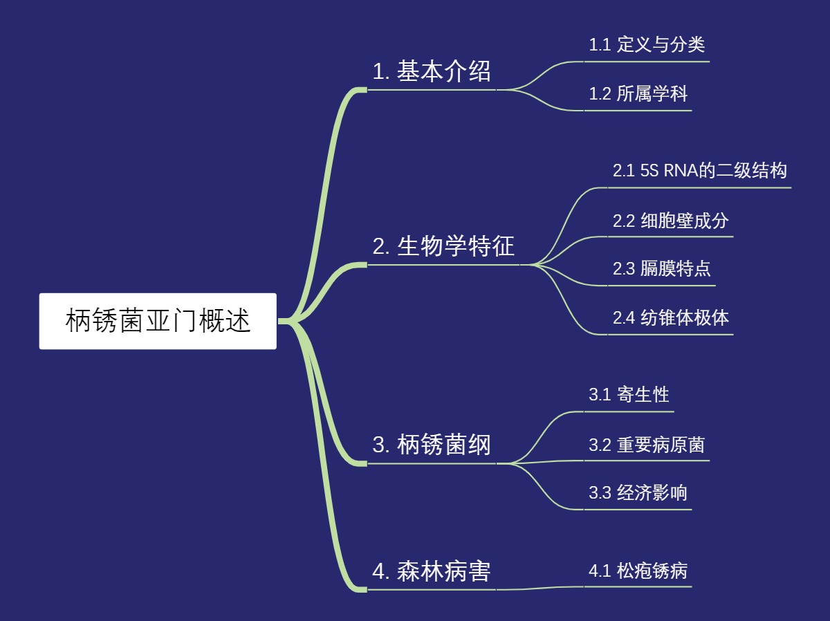 柄锈菌亚门概述