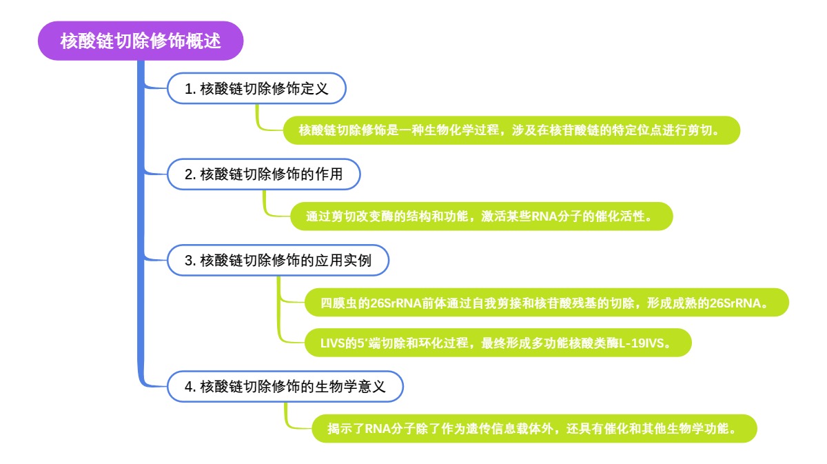 核酸链切除修饰概述