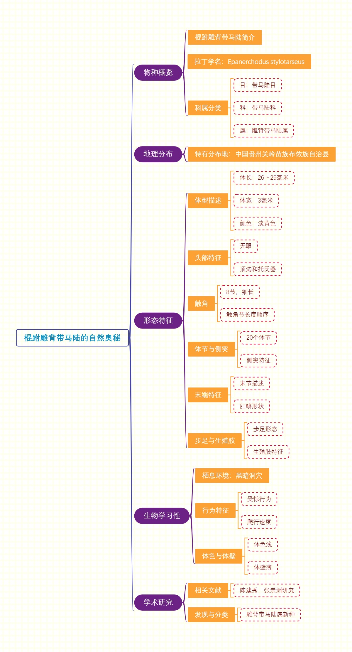 棍跗雕背带马陆的自然奥秘