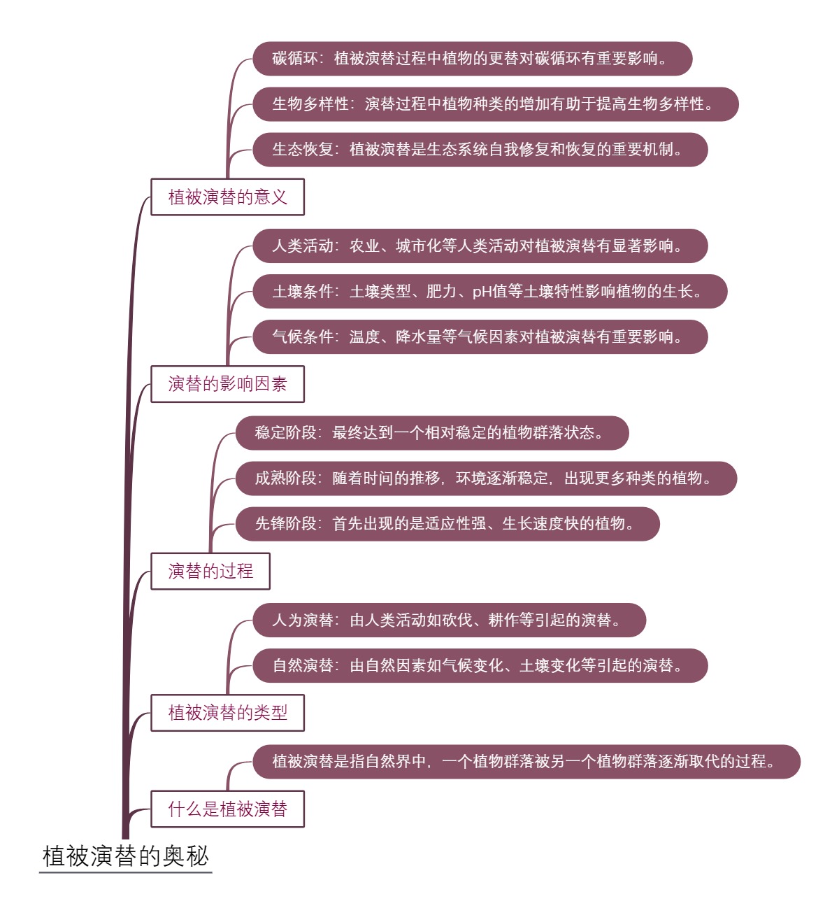 植被演替的奥秘
