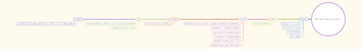 橘二叉蚜（Black Citrus Aphid）