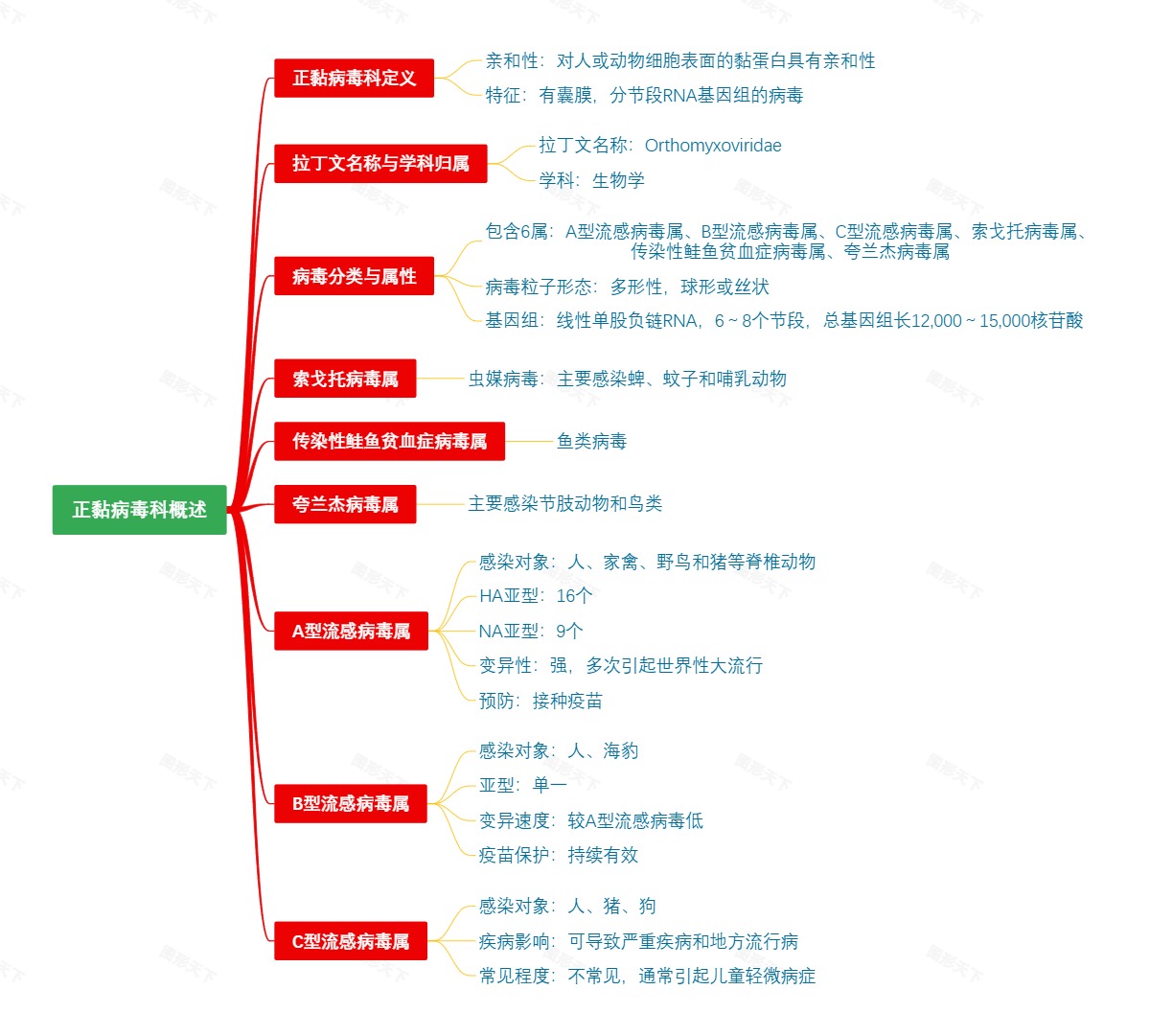 正黏病毒科概述