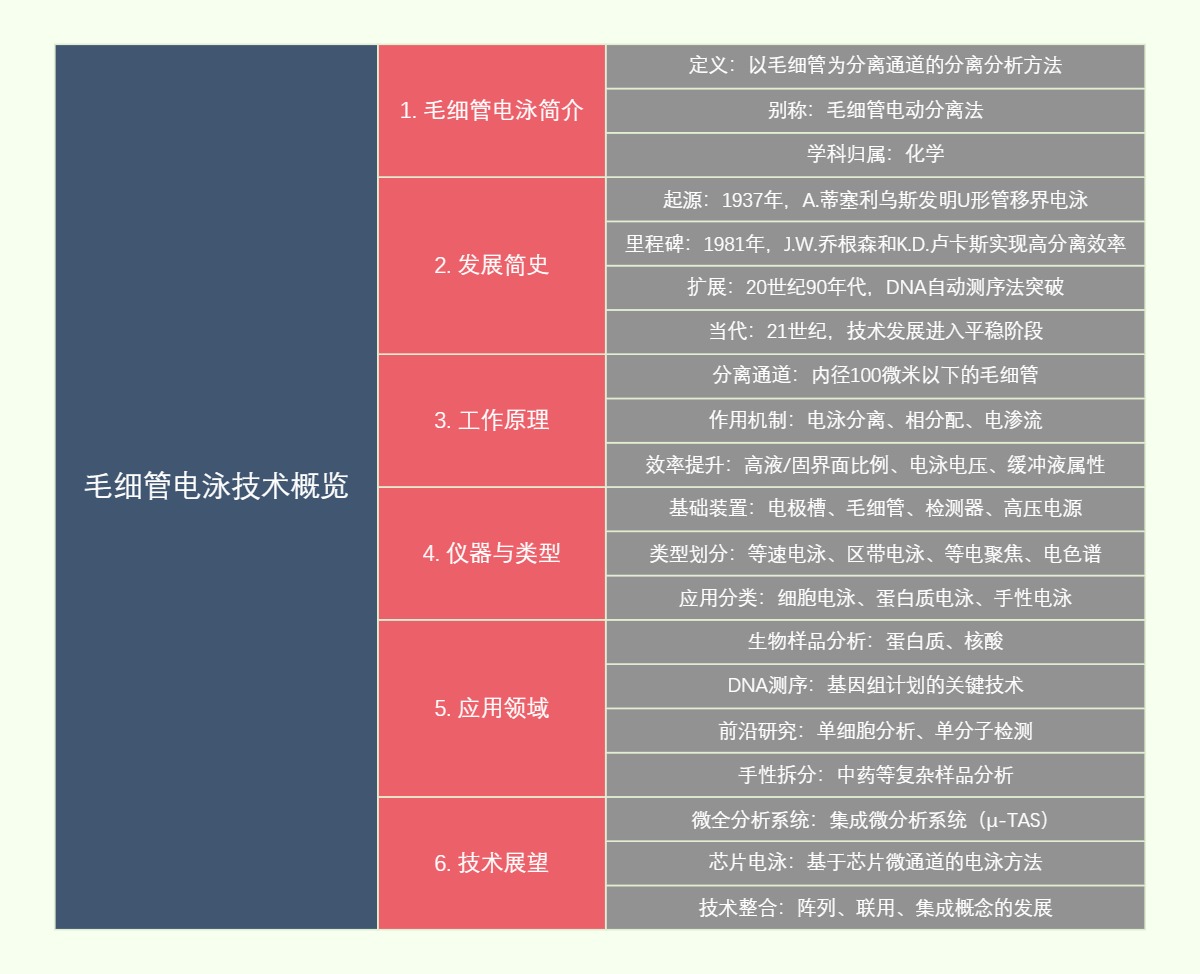 毛细管电泳技术概览