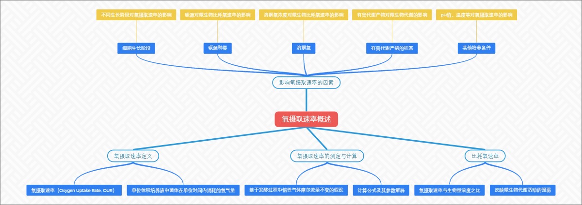 氧摄取速率概述