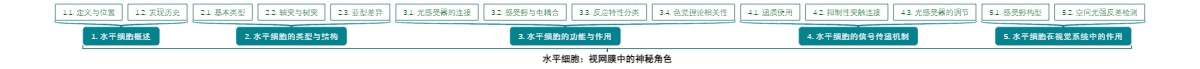 水平细胞：视网膜中的神秘角色