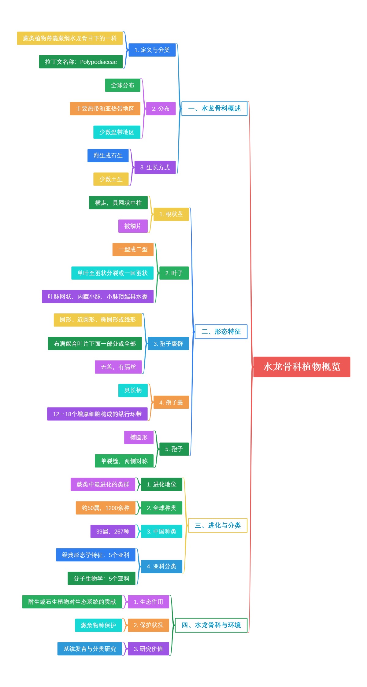 水龙骨科植物概览