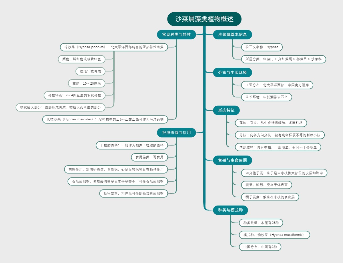 沙菜属藻类植物概述