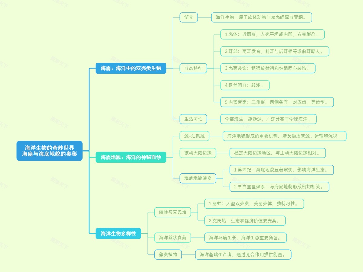 海洋生物的奇妙世界：海扇与海底地貌的奥秘
