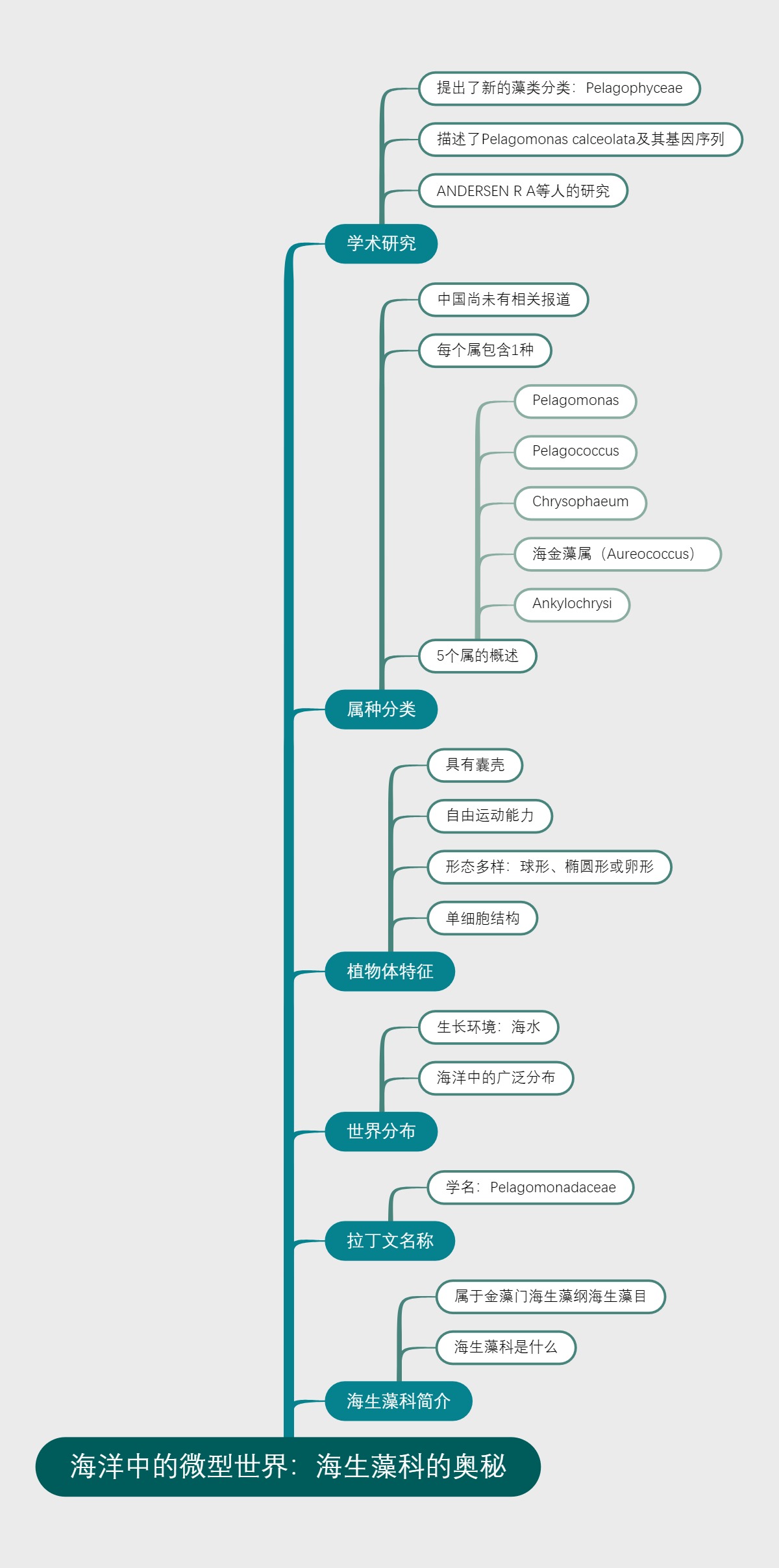海洋中的微型世界：海生藻科的奥秘