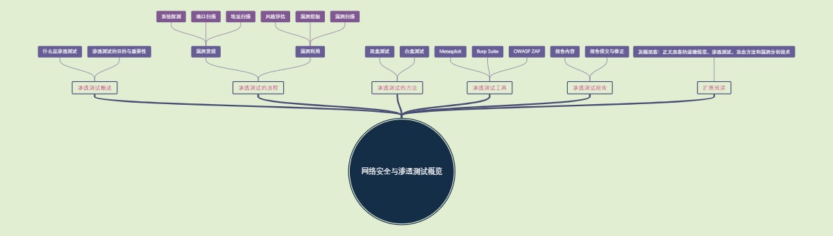 网络安全与渗透测试概览