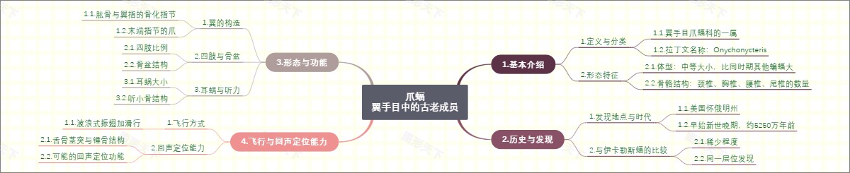 爪蝠：翼手目中的古老成员