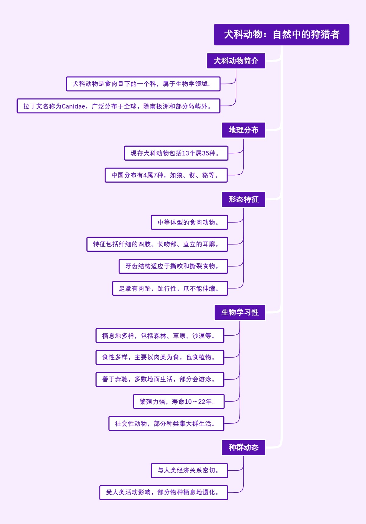犬科动物：自然中的狩猎者
