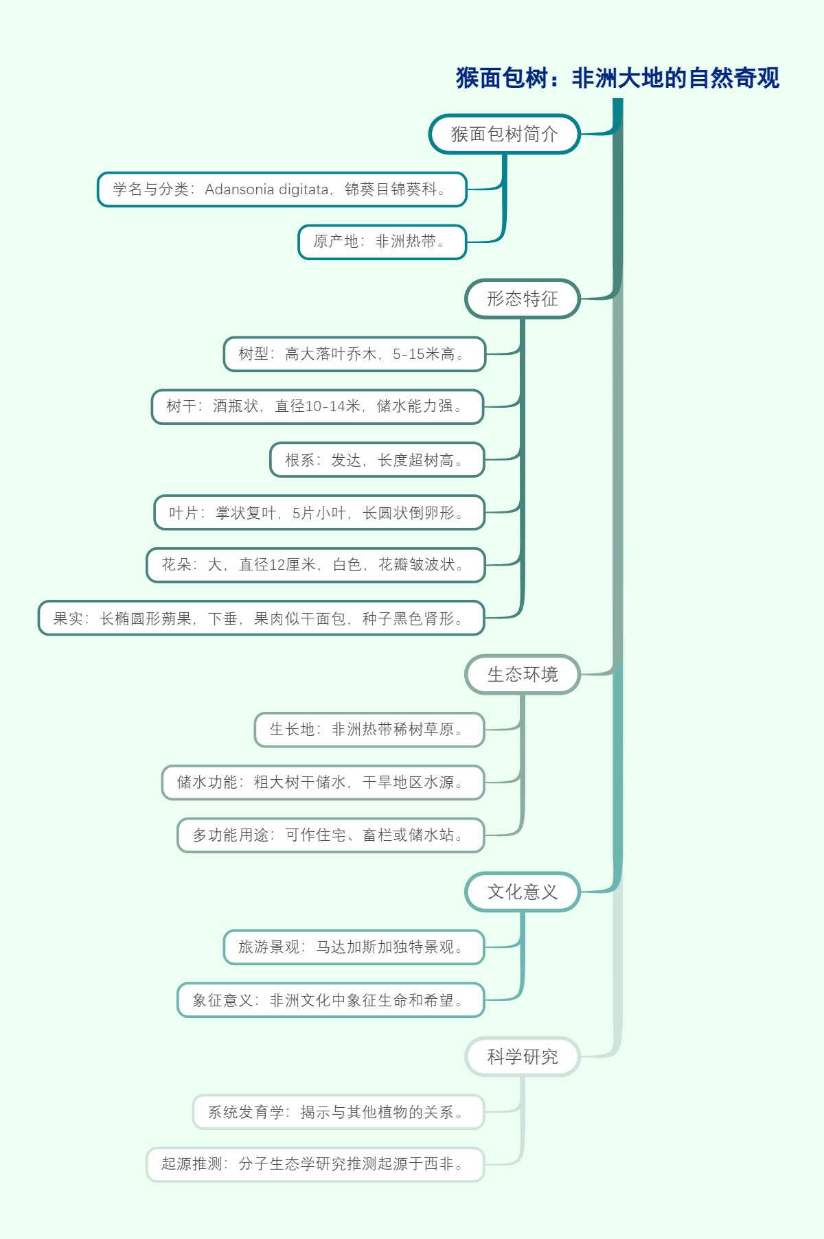 猴面包树：非洲大地的自然奇观