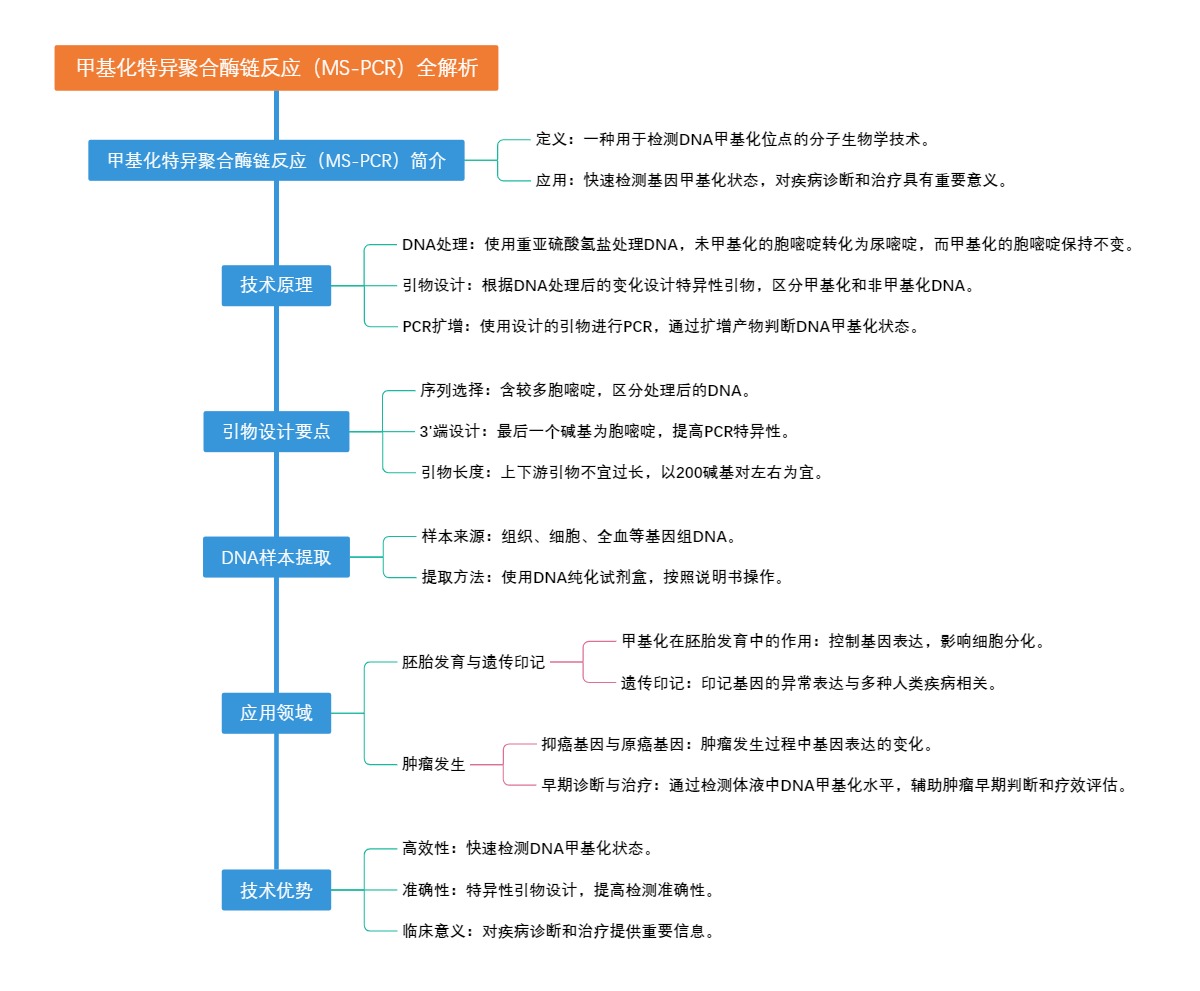 甲基化特异聚合酶链反应（MS-PCR）全解析