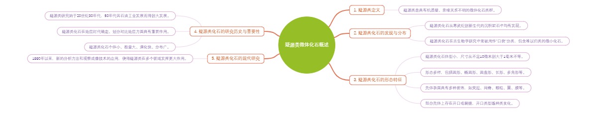 疑源类微体化石概述