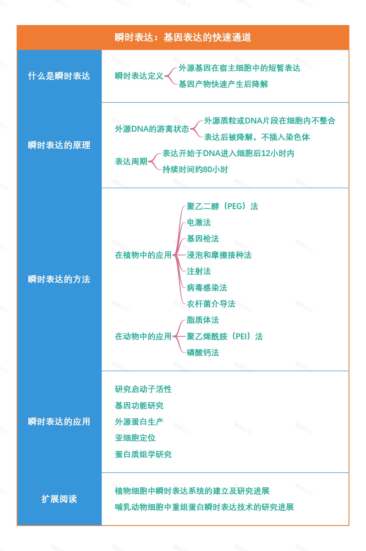 瞬时表达：基因表达的快速通道