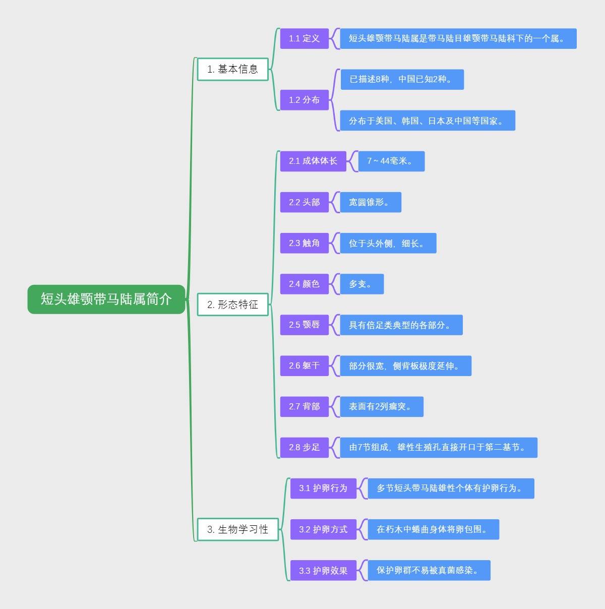 短头雄颚带马陆属简介