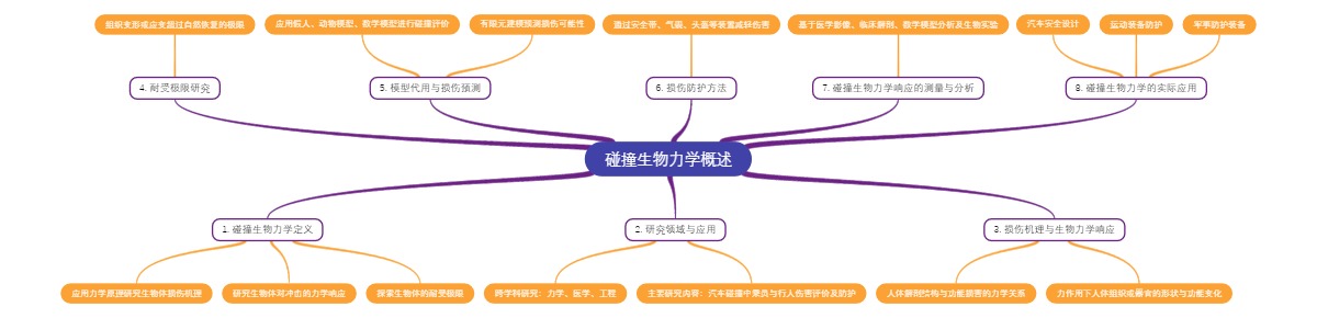 碰撞生物力学概述