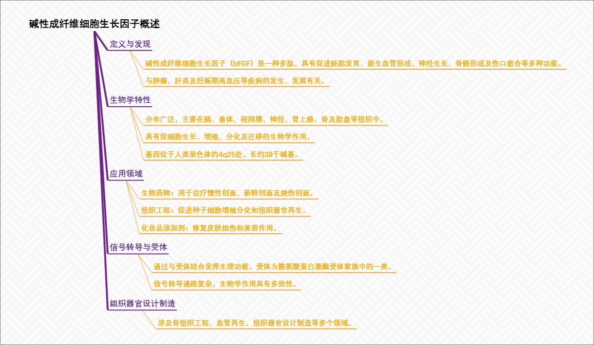 碱性成纤维细胞生长因子概述