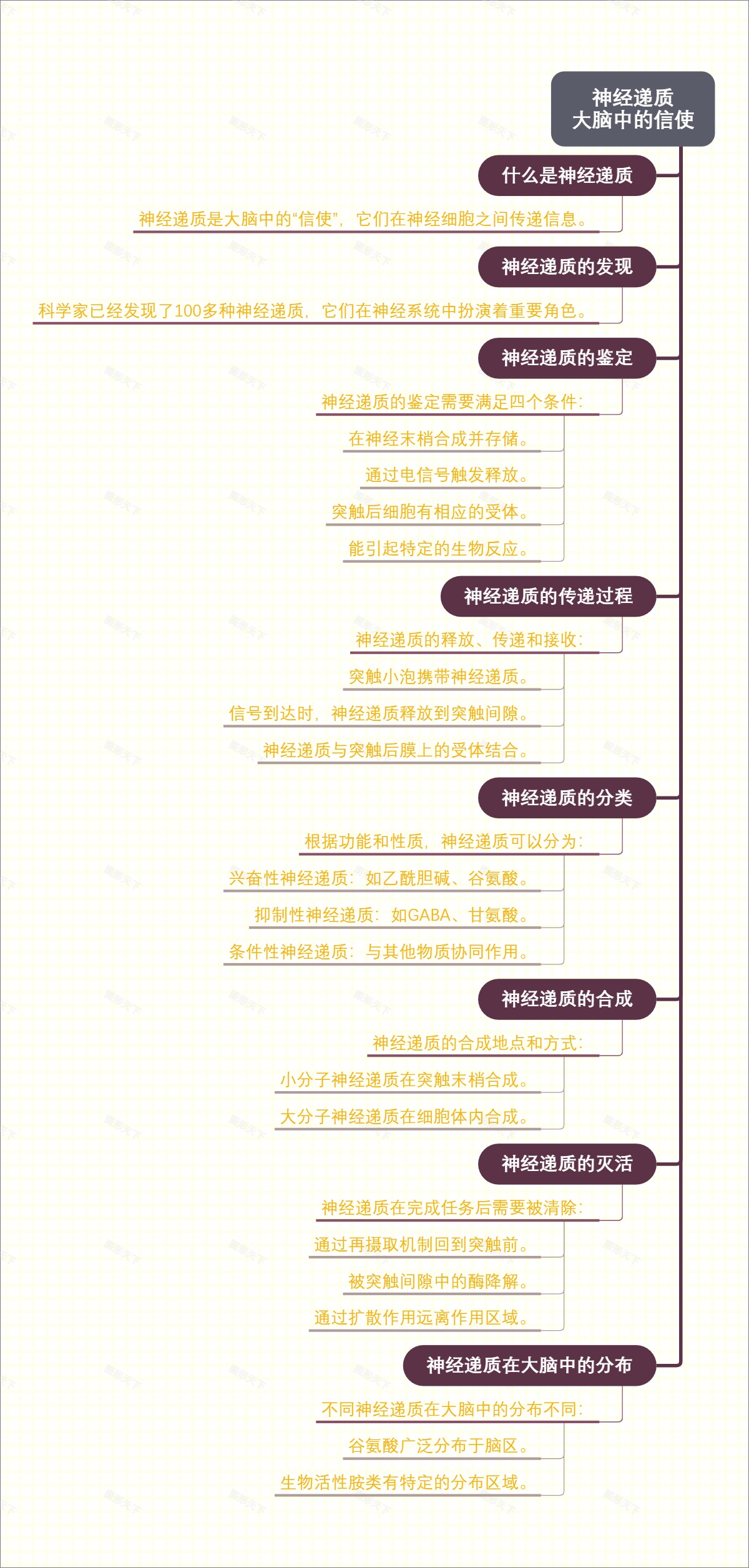 神经递质：大脑中的信使