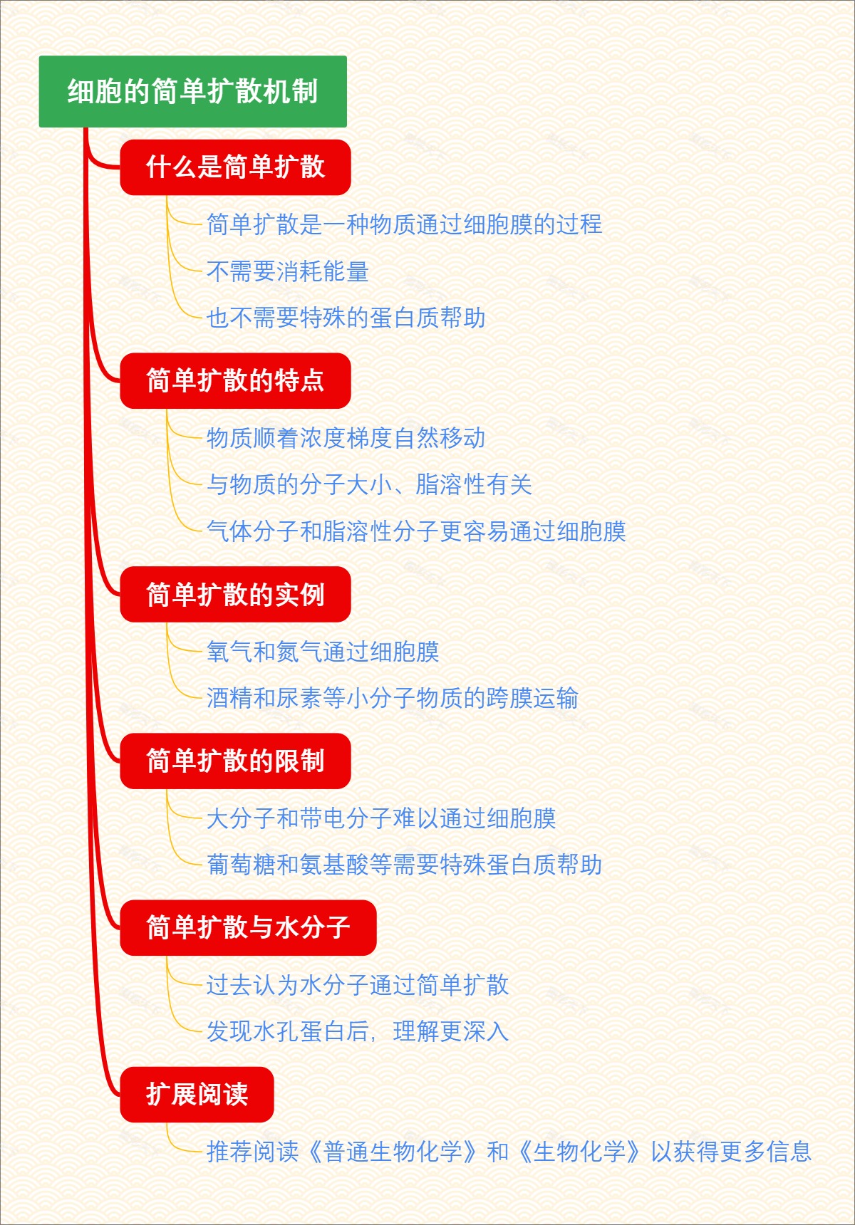 细胞的简单扩散机制