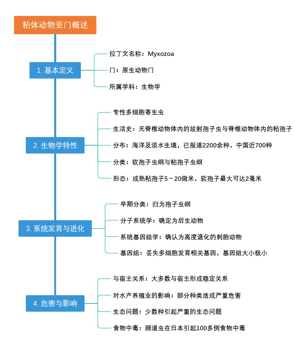 粘体动物亚门概述