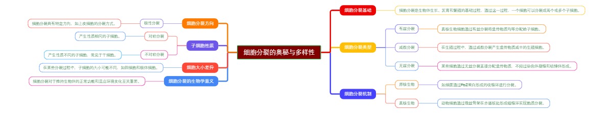 细胞分裂的奥秘与多样性