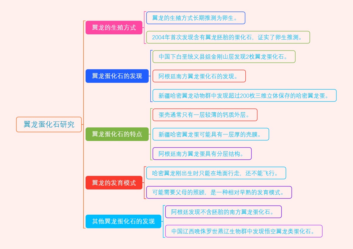 翼龙蛋化石研究