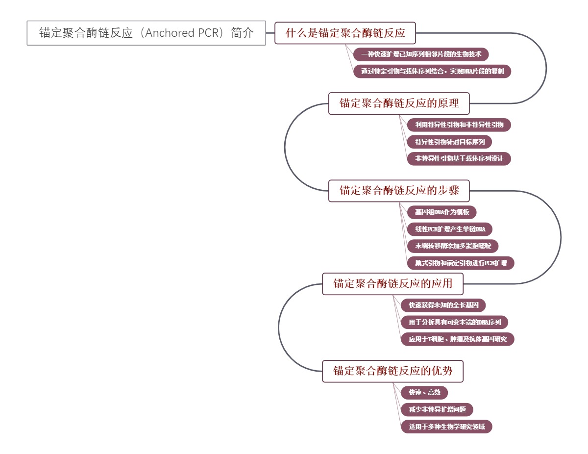 锚定聚合酶链反应（Anchored PCR）简介