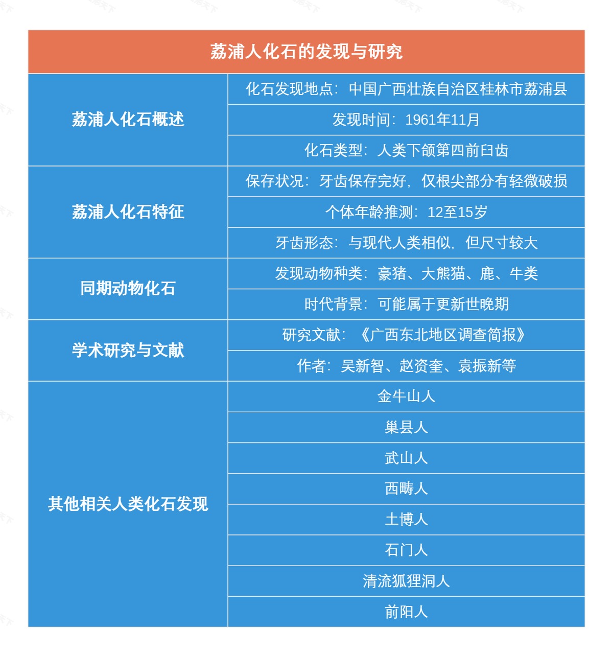 荔浦人化石的发现与研究