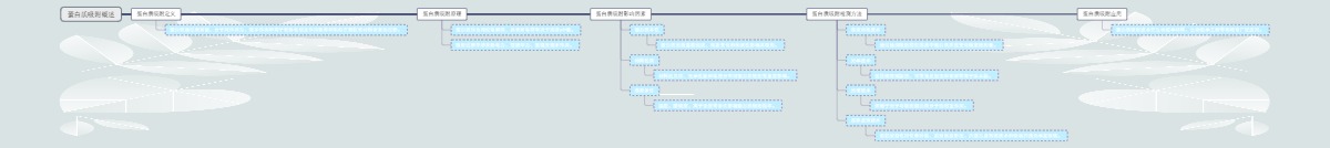 蛋白质吸附概述