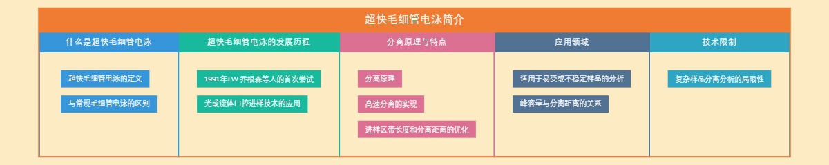 超快毛细管电泳简介