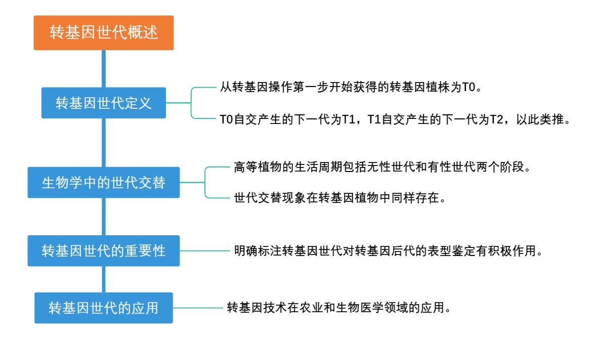 转基因世代概述