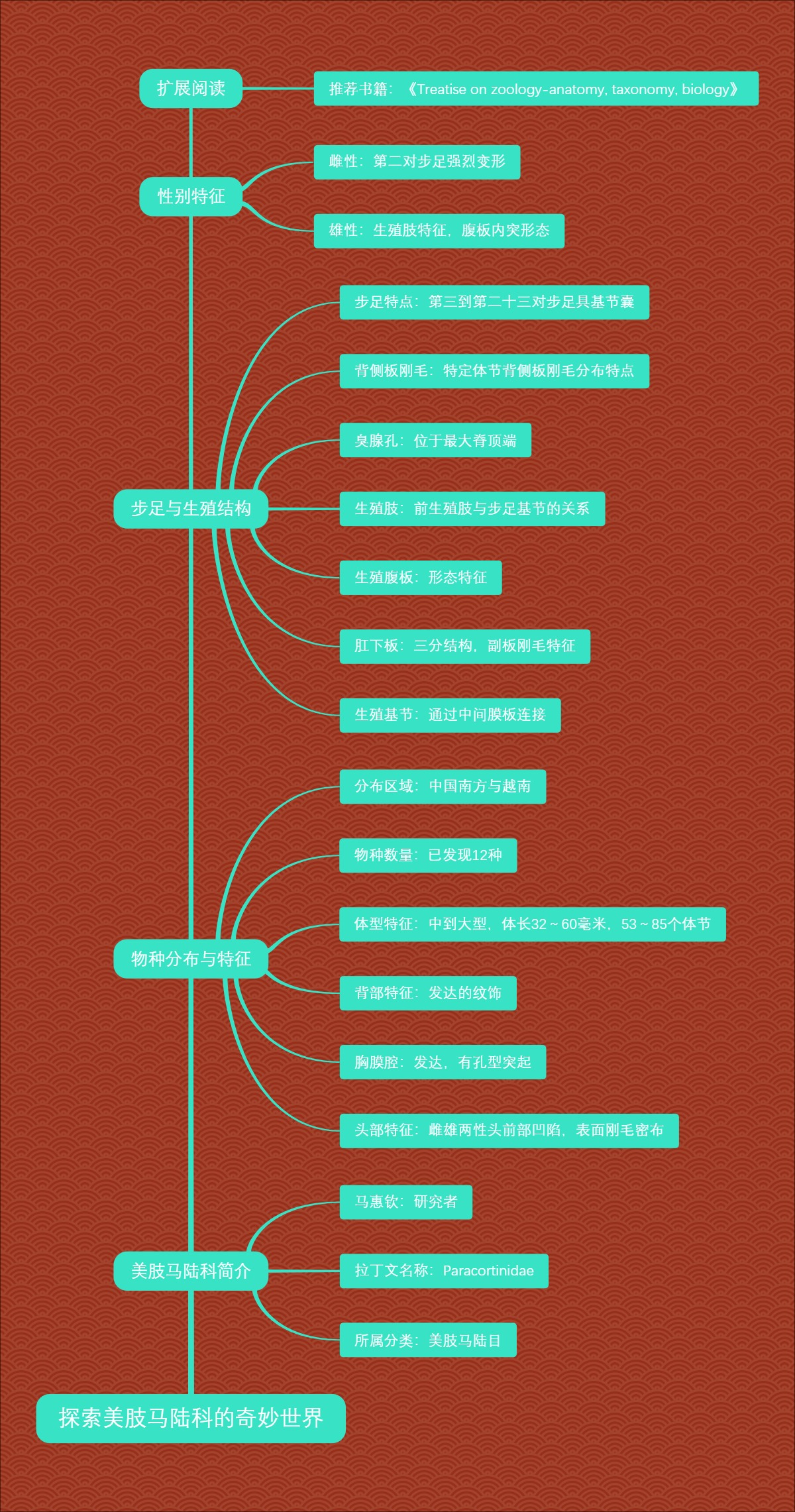 探索美肢马陆科的奇妙世界