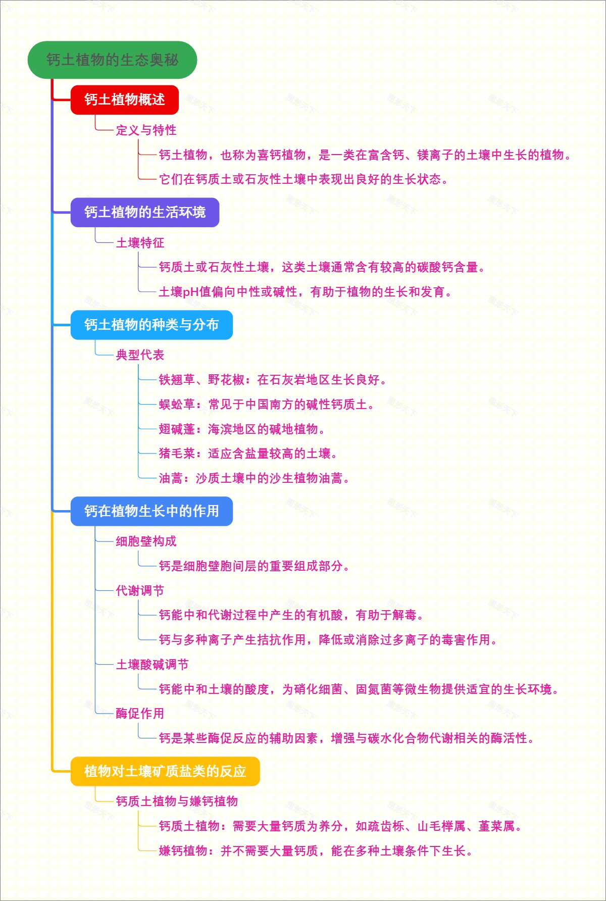 钙土植物的生态奥秘