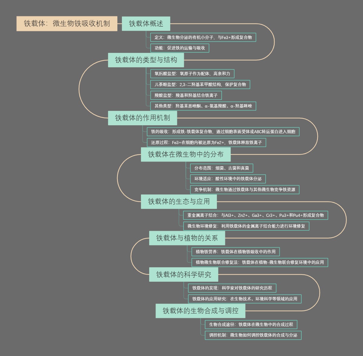 铁载体：微生物铁吸收机制