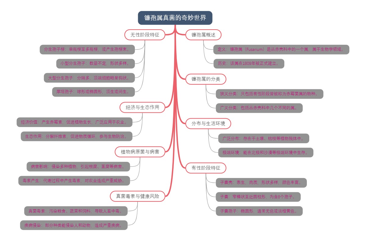 镰孢属真菌的奇妙世界