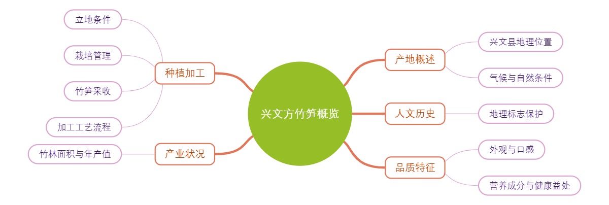 兴文方竹笋概览