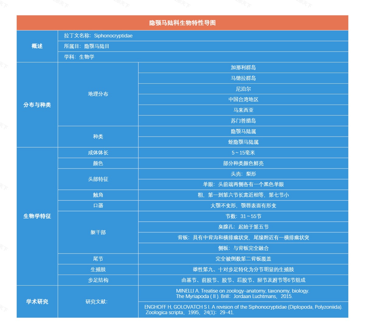 隐颚马陆科生物特性导图