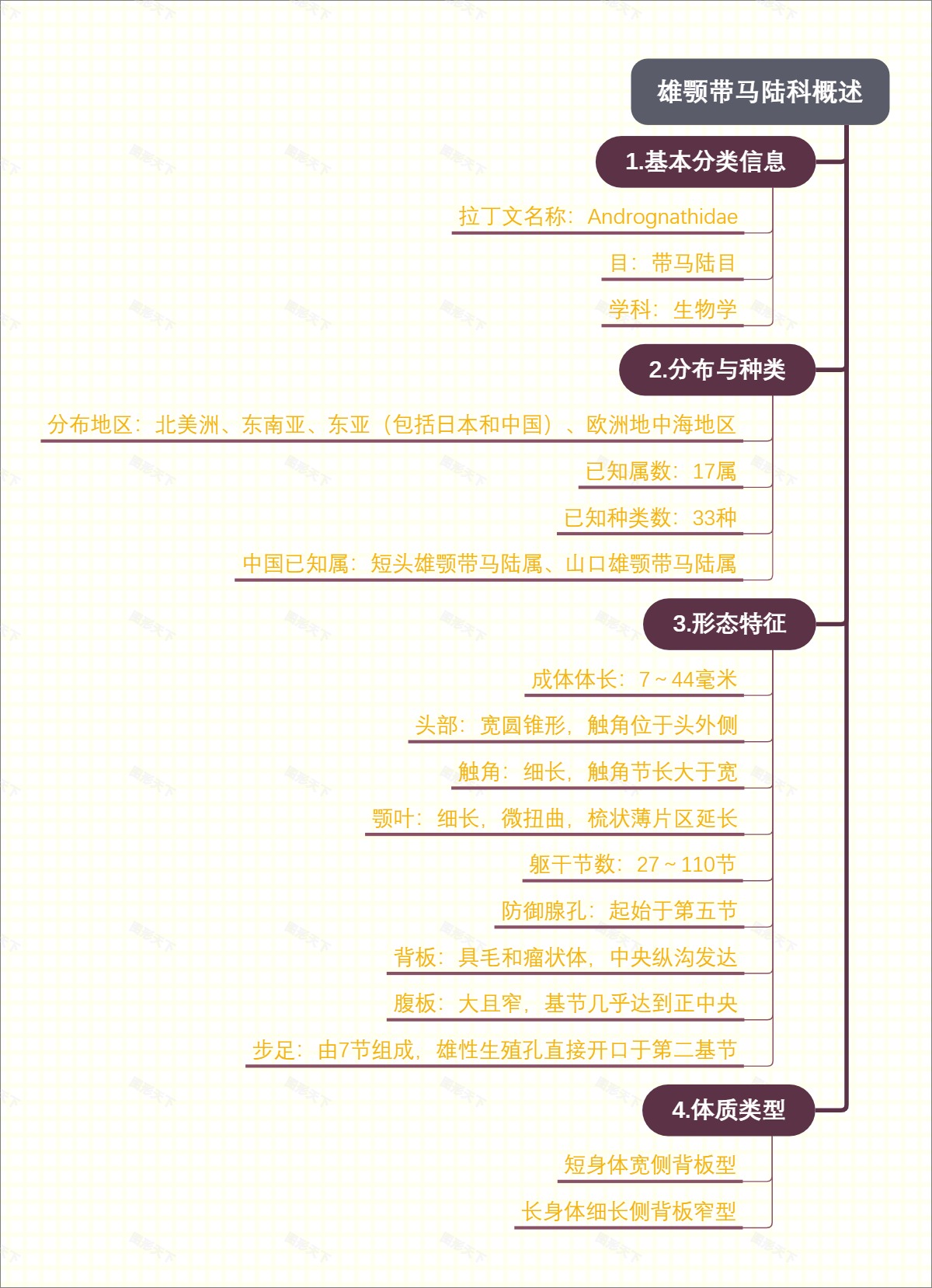 雄颚带马陆科概述