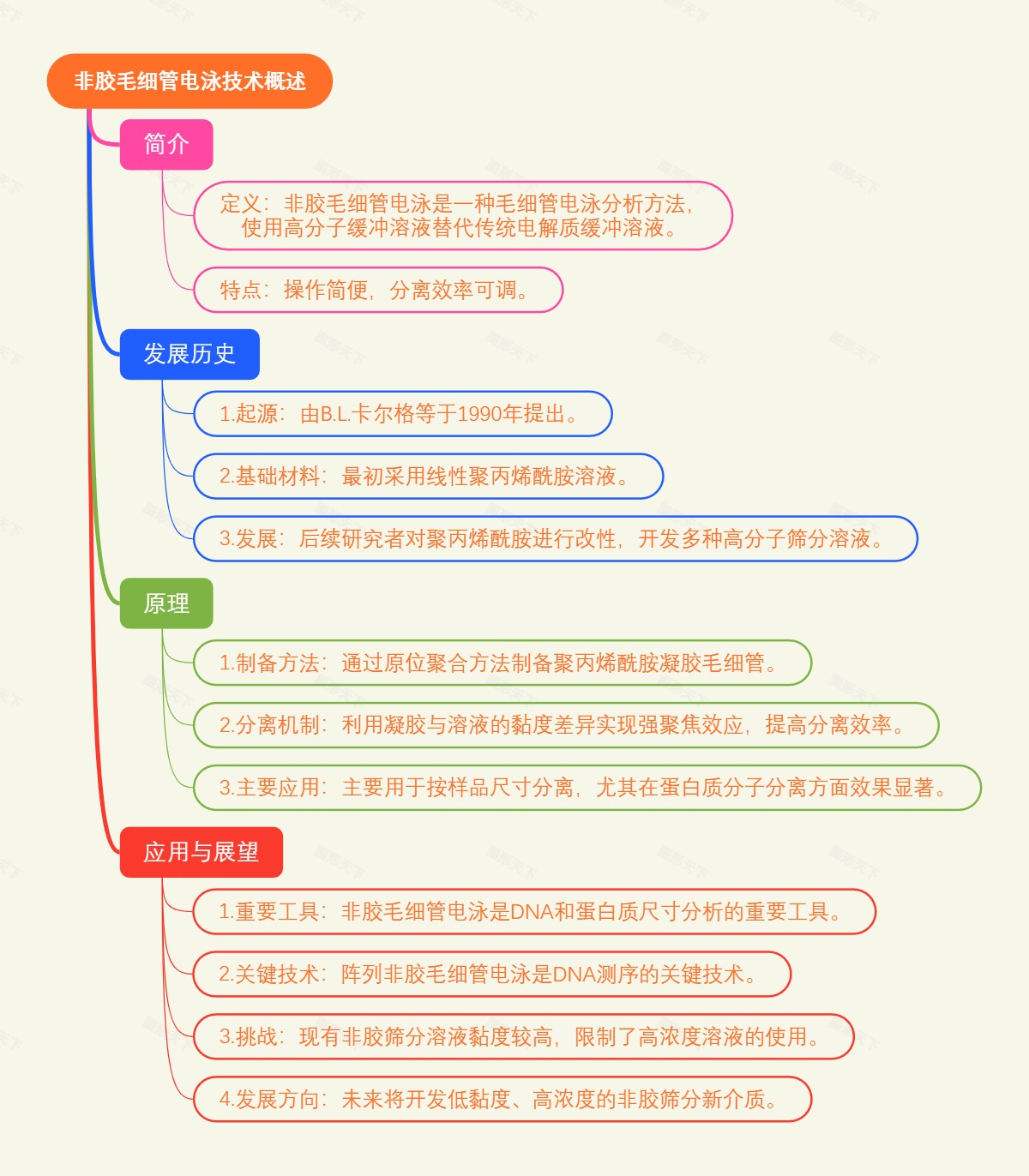 非胶毛细管电泳技术概述