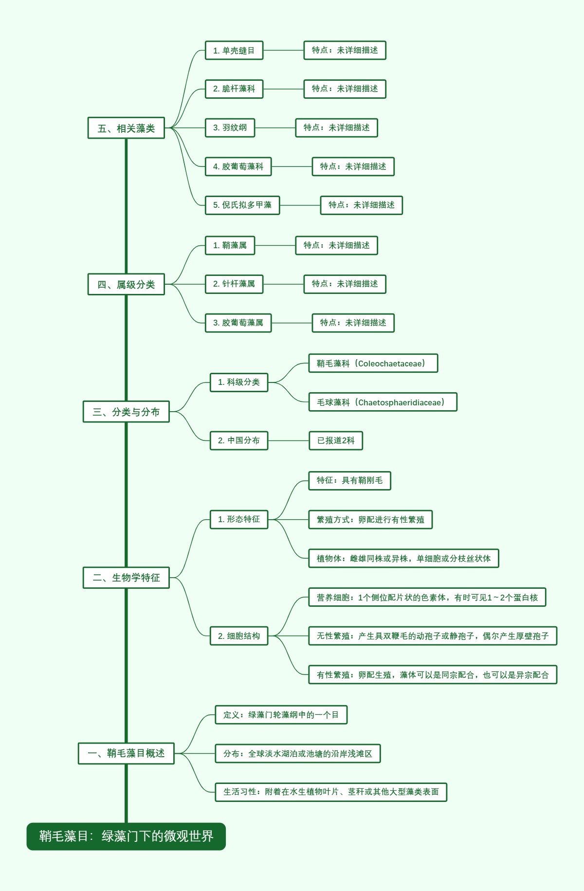 鞘毛藻目：绿藻门下的微观世界
