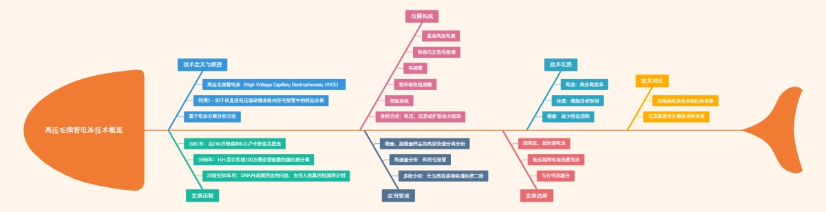 高压毛细管电泳技术概览