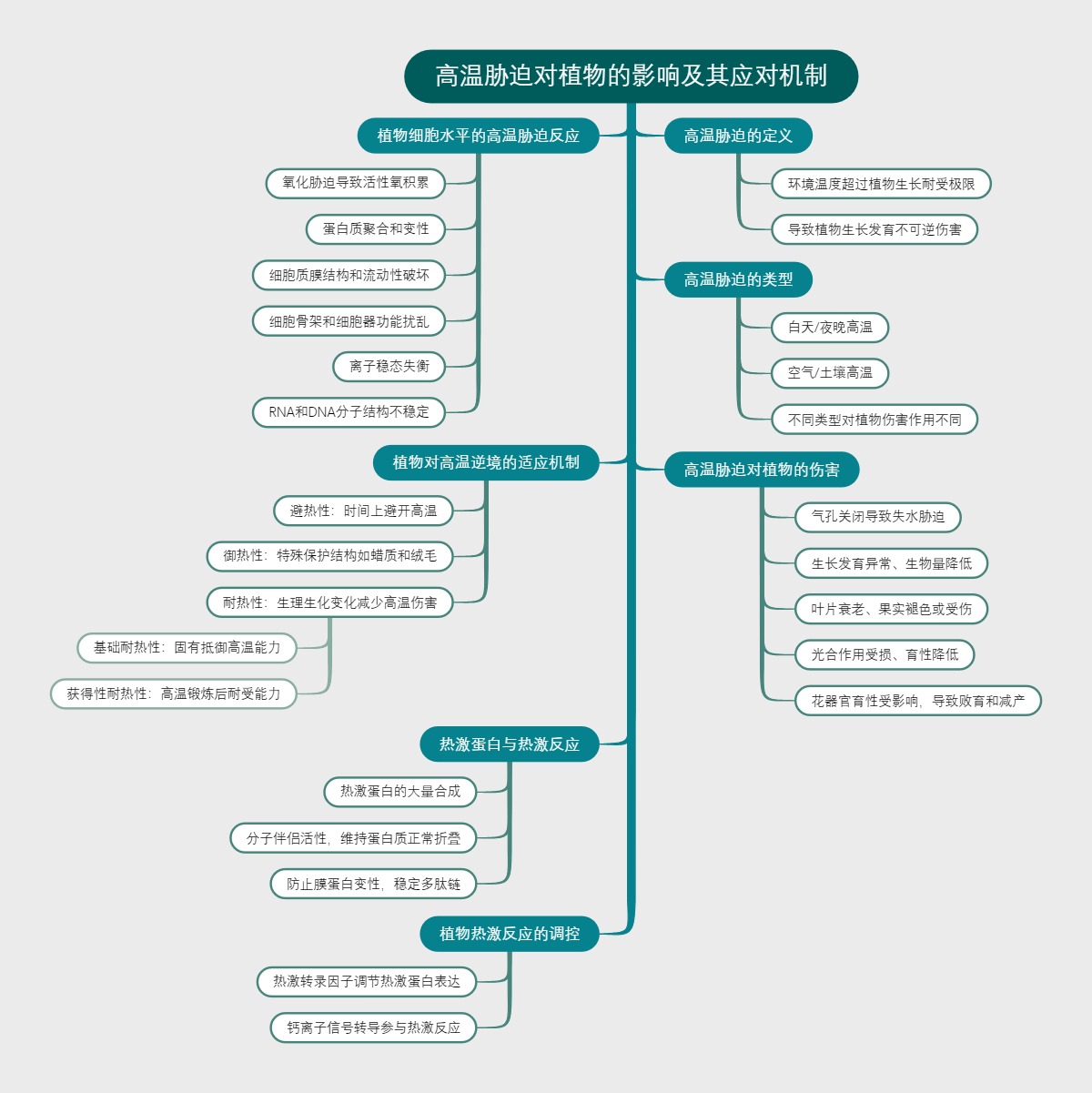 高温胁迫对植物的影响及其应对机制