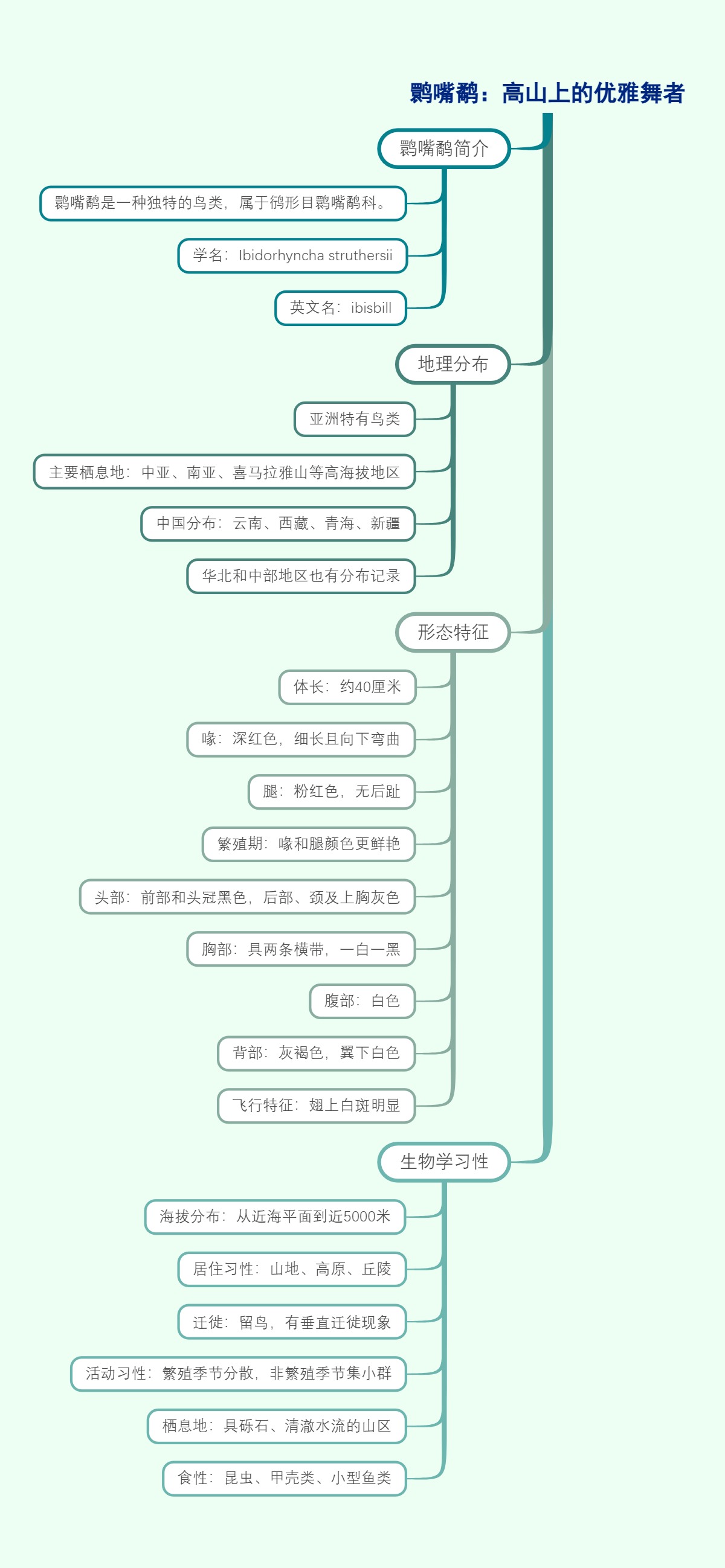 鹮嘴鹬：高山上的优雅舞者
