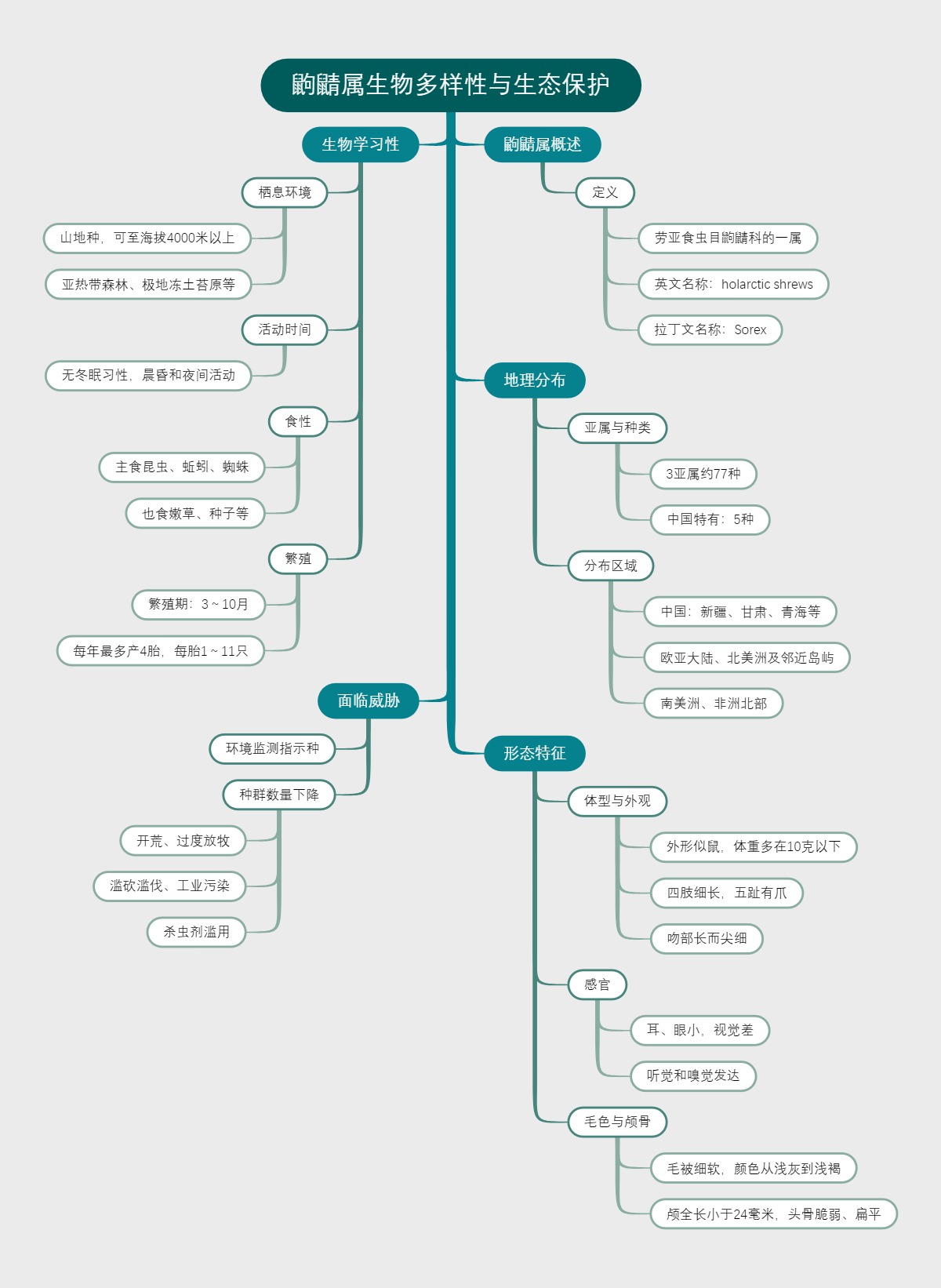 鼩鼱属生物多样性与生态保护
