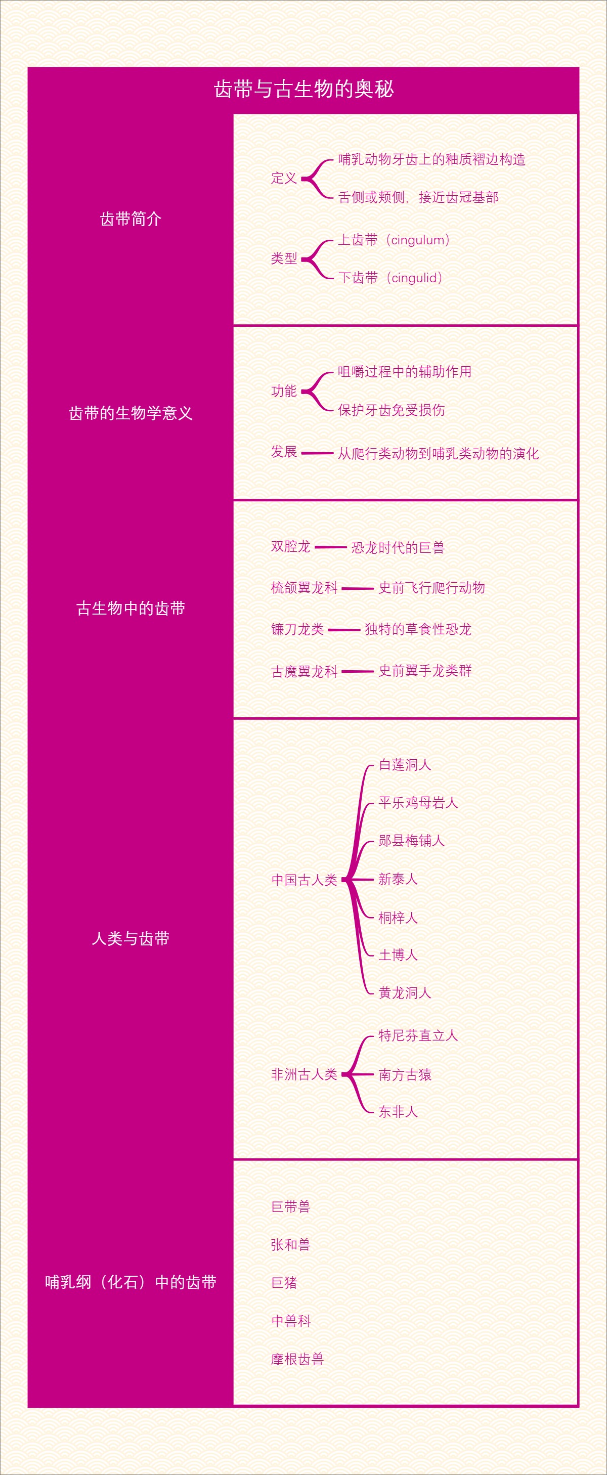 齿带与古生物的奥秘