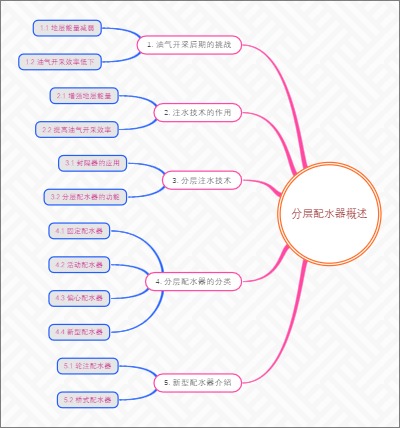 分层配水器概述