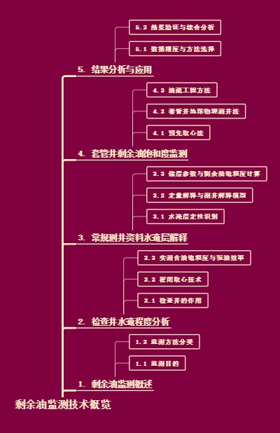 剩余油监测技术概览